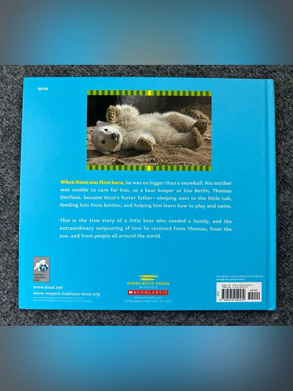 Knut: How One Little Polar Bear Captivated the World Children's Hardcover Book